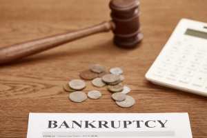 chapter 7 bankruptcy exemptions california